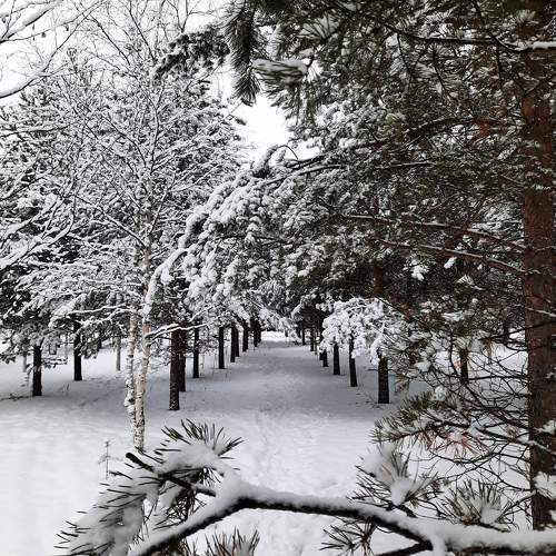 Photo #11413067