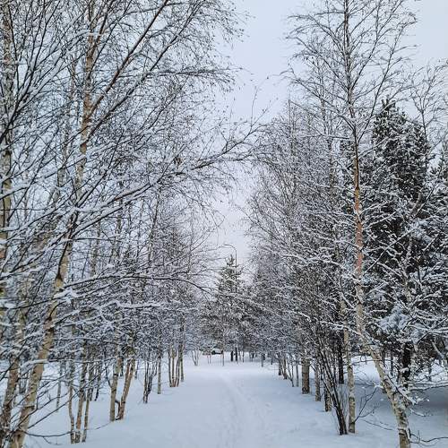 Photo #11413069