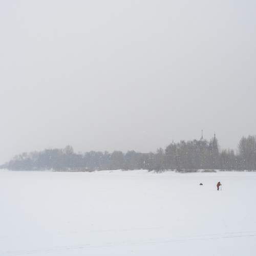 Photo #11413101