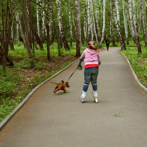 Photo #11413191