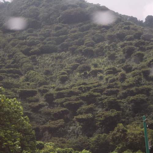 Photo #11414618