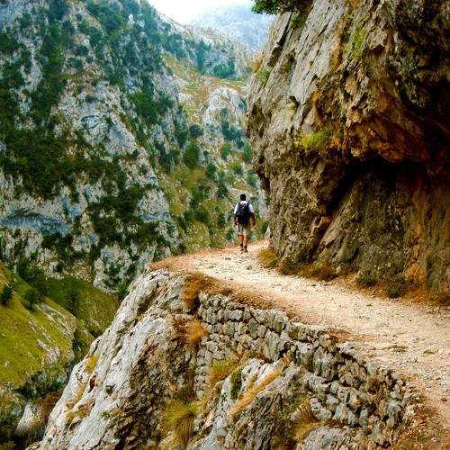 Photo #11414739