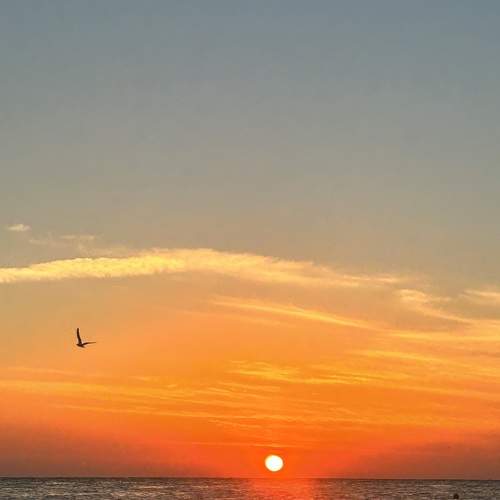 Photo #11415157