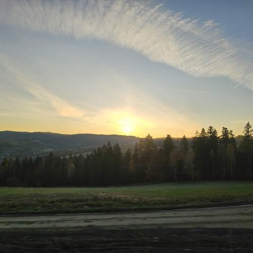 Photo #11415315