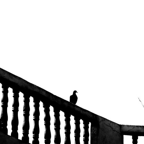 Photo #11415347