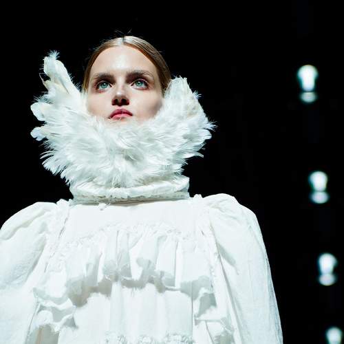 Photo #11415532