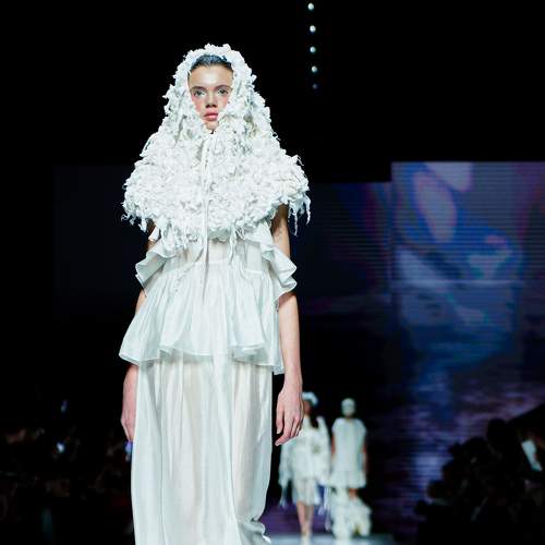 Photo #11415569