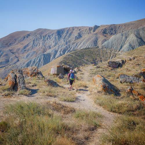 Photo #11415676