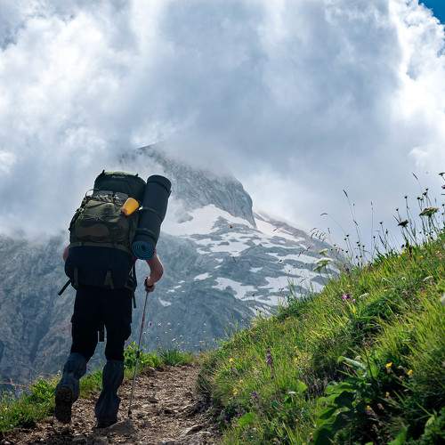 Photo #11416088