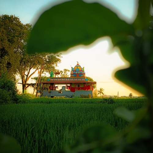 When Spirituality and nature come together.