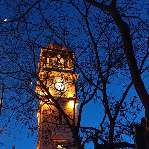 Photo #11416490