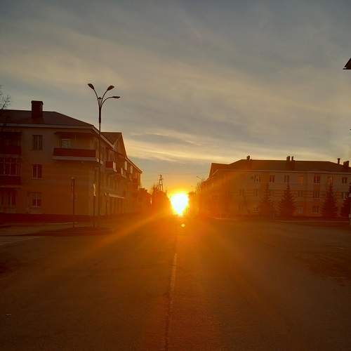 Photo #11416557