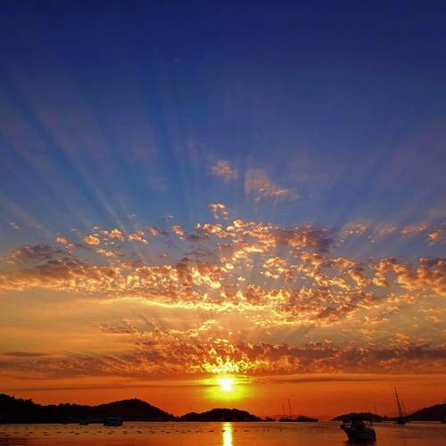 Photo #11416664