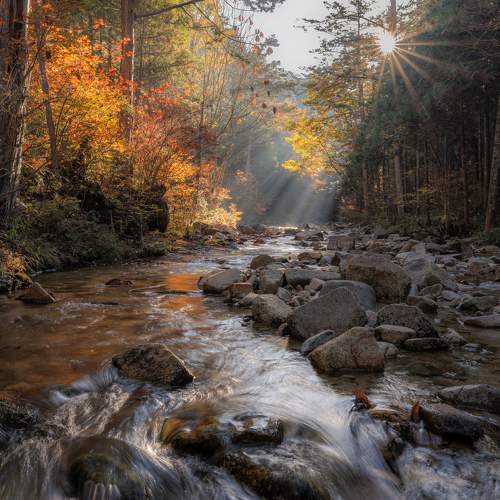 Фотография #11416986