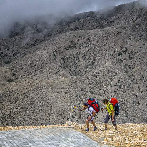 Photo #11417050
