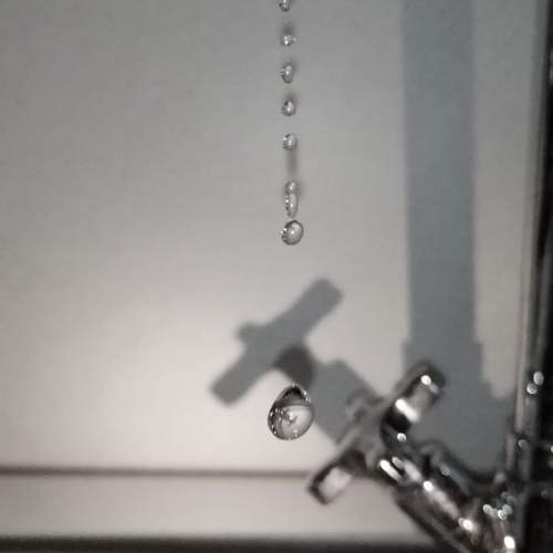 Photo #11417146