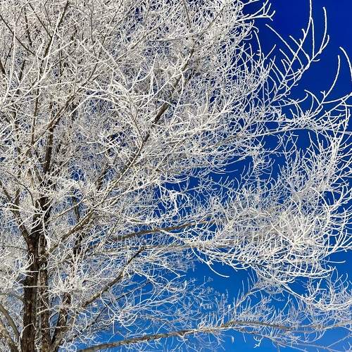 Photo #11417195