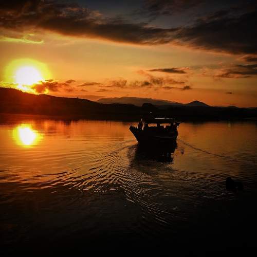 Photo #11417432