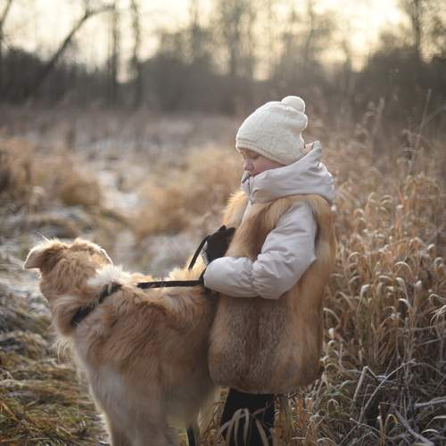 Photo #11417449