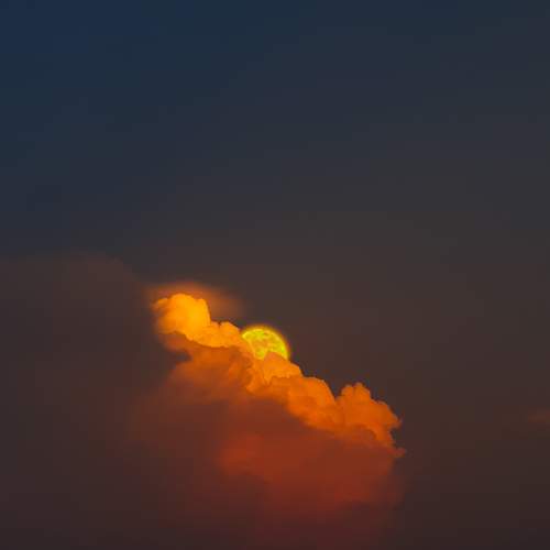 Photo #11417460