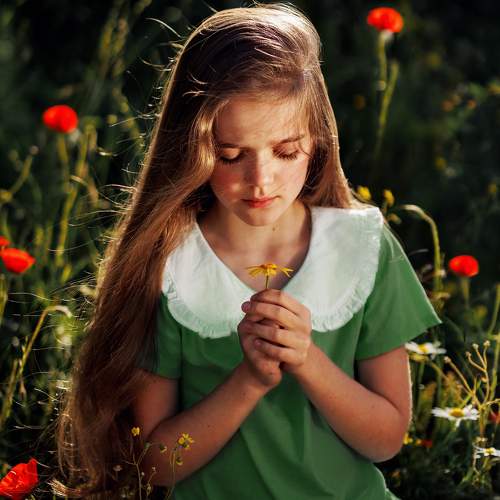 Photo #11417527