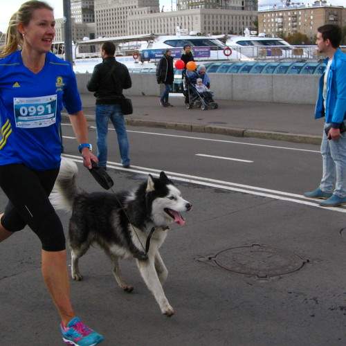 Photo #11417550