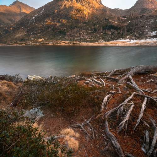 Last rays of the day