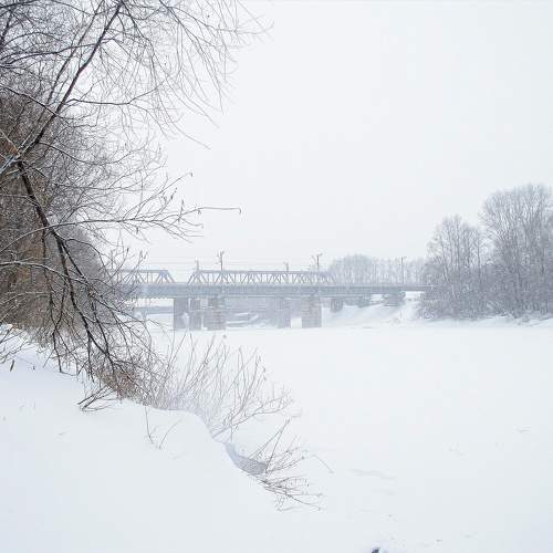 Photo #11417659