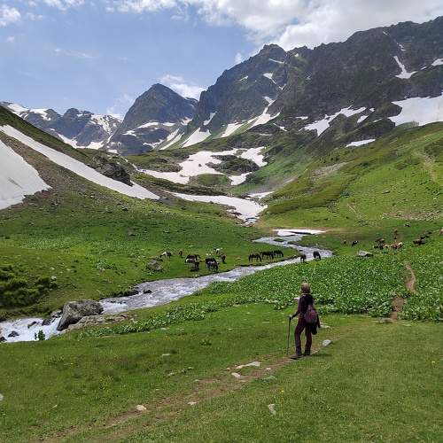 Photo #11417687