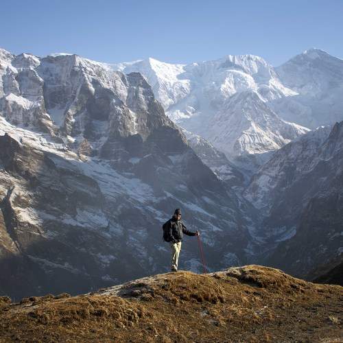 Photo #11417838