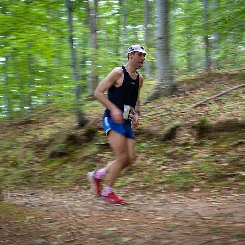 Фотография #11419006