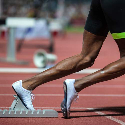 Фотография #11419009