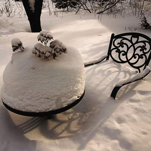 Photo #11419035