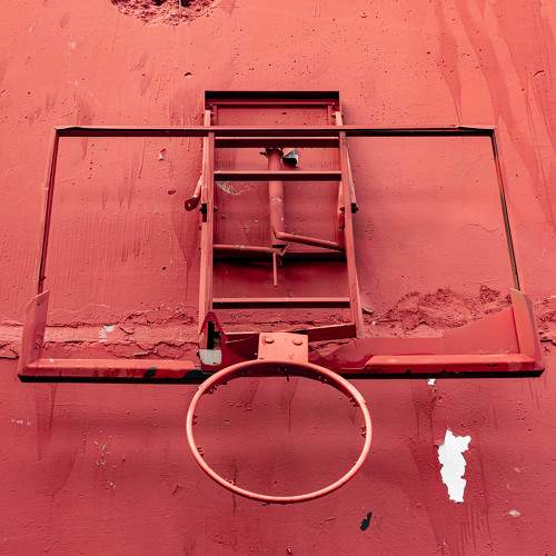 Photo #11419058