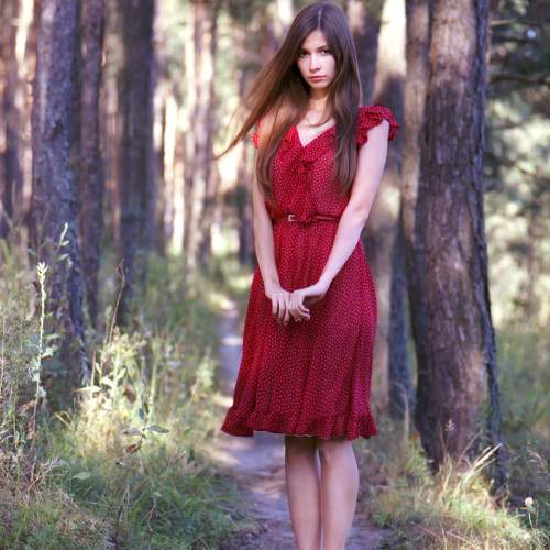 Photo #11419627