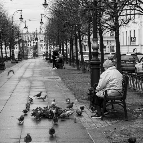 Photo #11419727