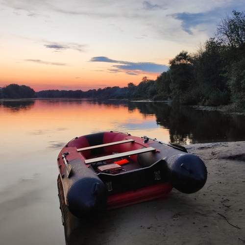 Photo #11420772
