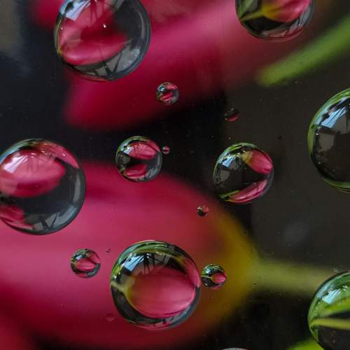 Photo #11421026