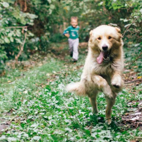 Photo #11421225