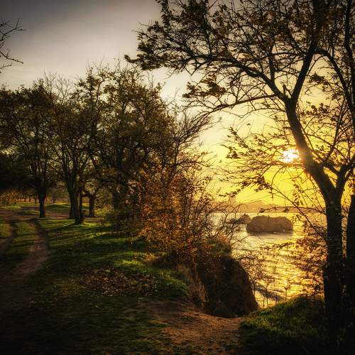 Photo #11421893