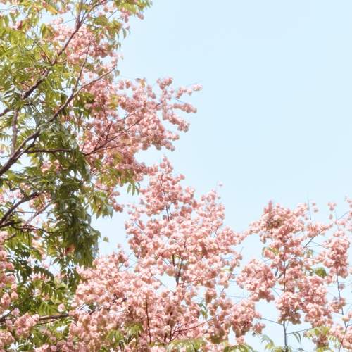 Photo #11422213