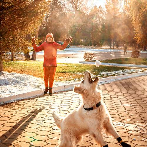 Photo #11422379