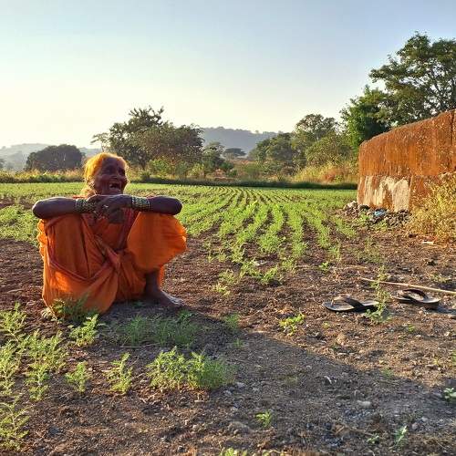 Photo #11422479