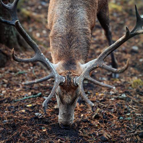Photo #11422577