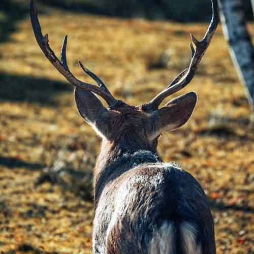 Photo #11422578
