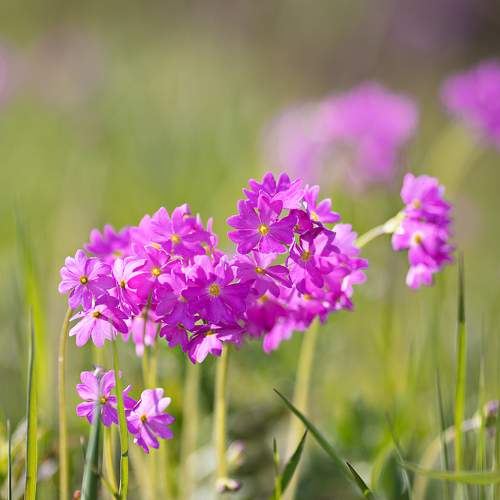 Photo #11422595