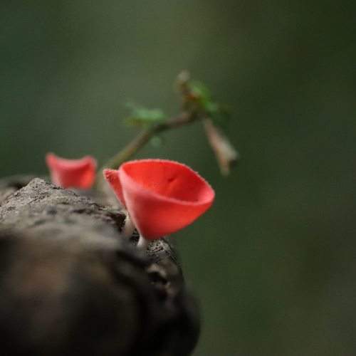 Photo #11422716