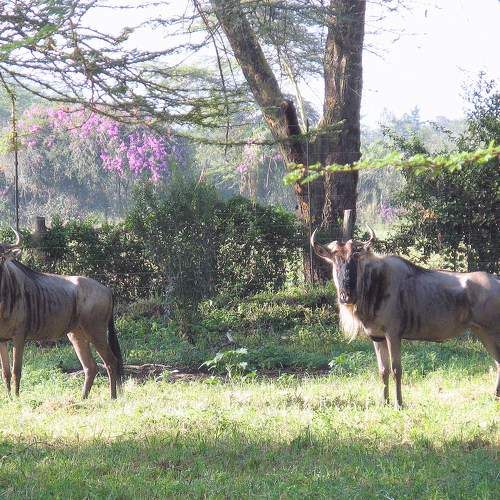 Photo #11422839