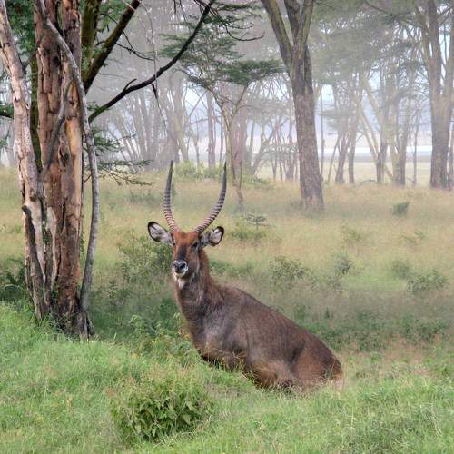 Photo #11422840