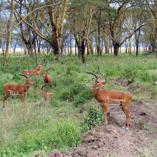 Photo #11422841